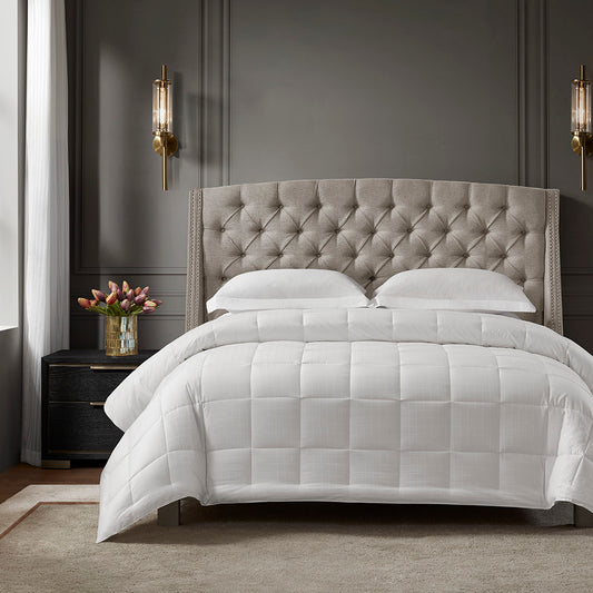 Cotton Luxury Blanket Case Pack 2