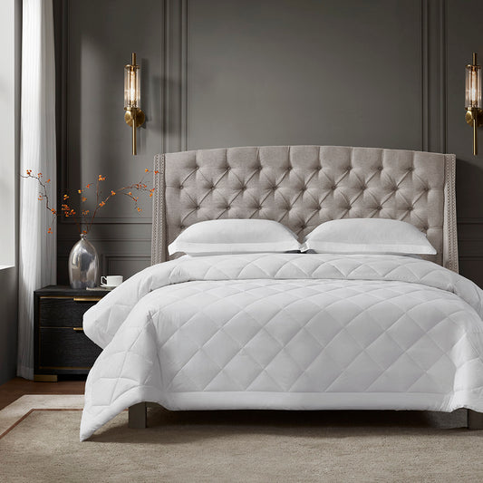 Cotton Premium Blanket, Case Pack 6