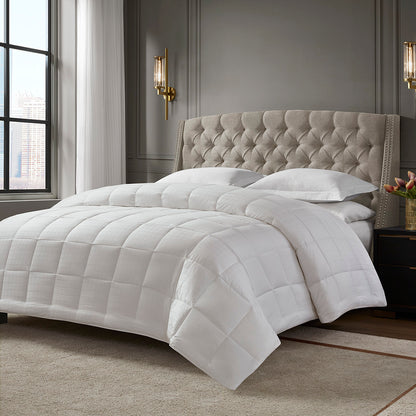 Cotton Luxury Blanket, Case Pack 6